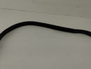 Acura RSX Front Right Door Seal-7
