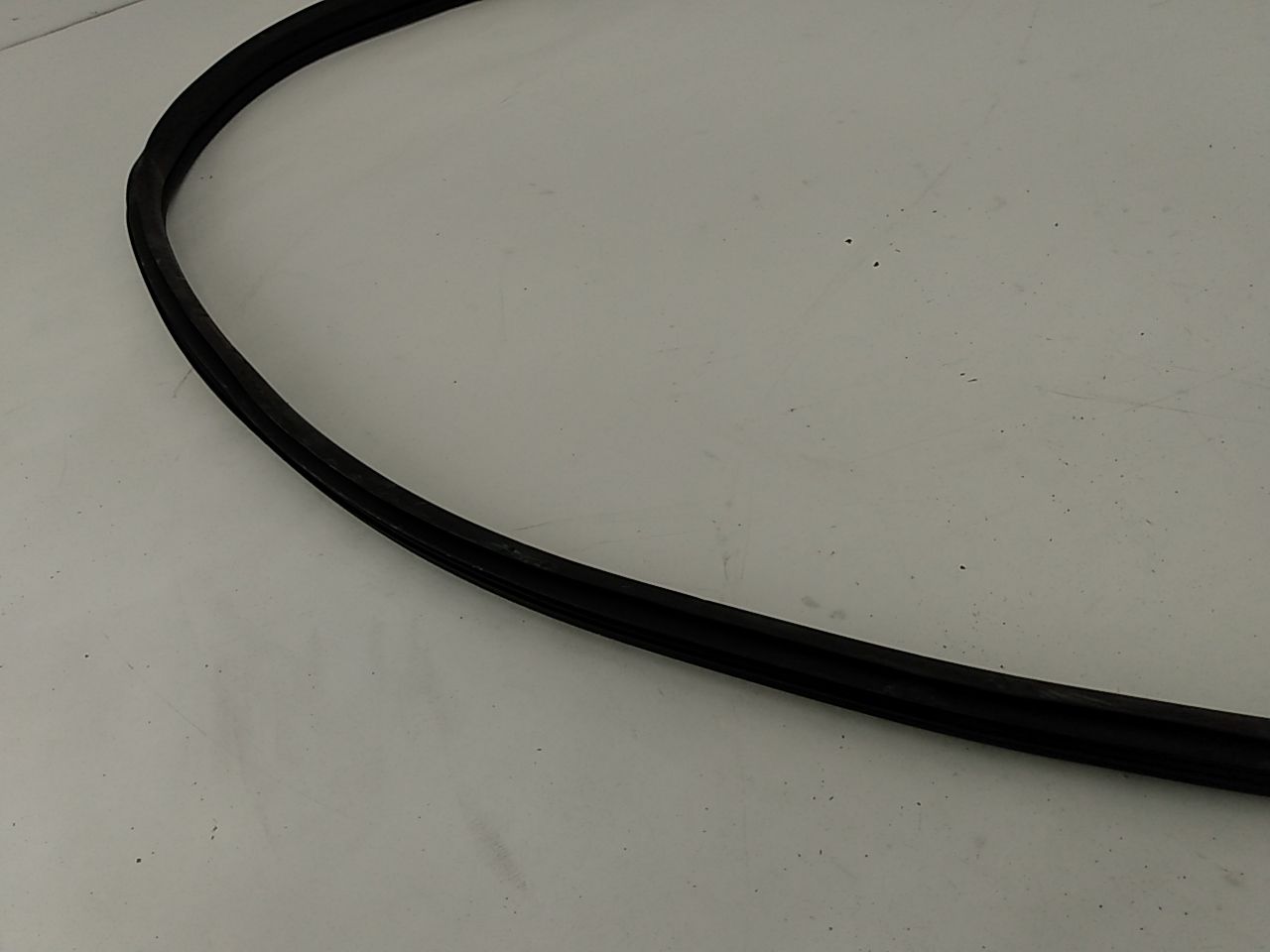 Acura RSX Front Right Door Seal