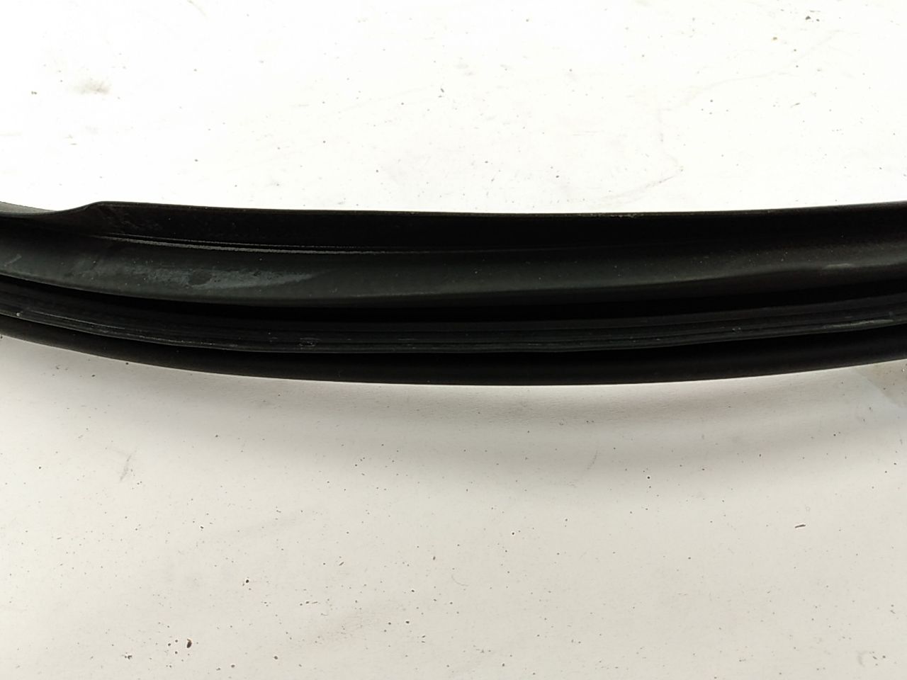 Acura RSX Front Right Door Seal