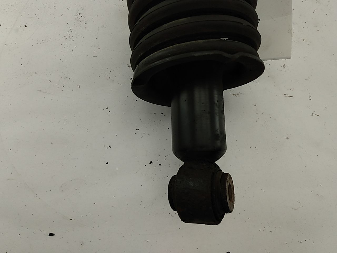 Acura RSX Rear Right Strut