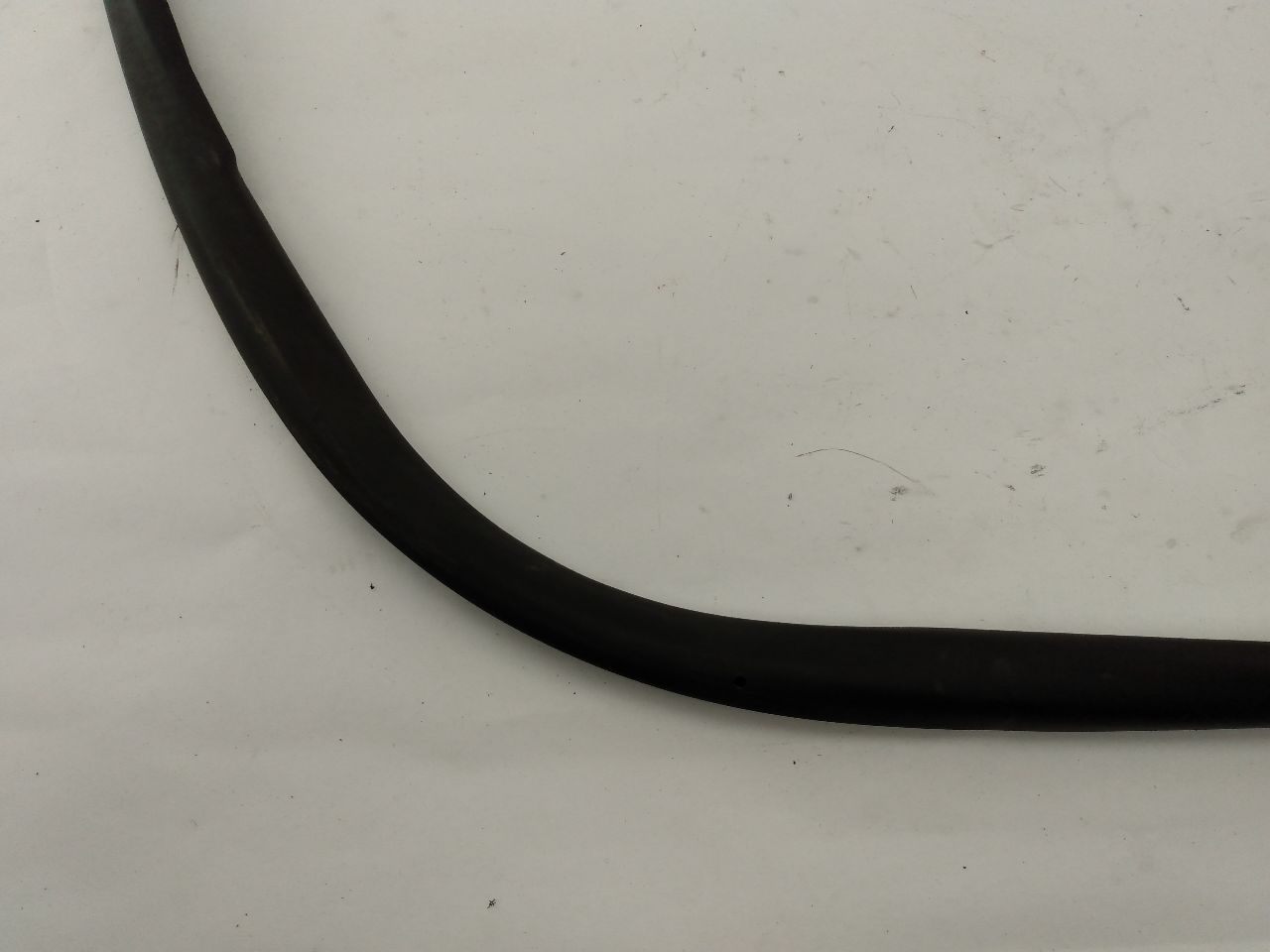 Mini Cooper S Front Right Door Seal - 0