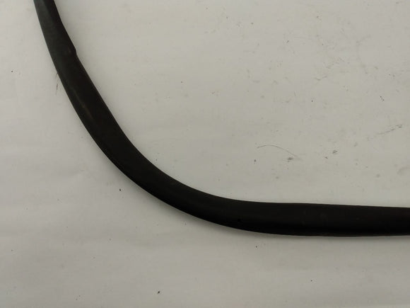 Mini Cooper S Front Right Door Seal