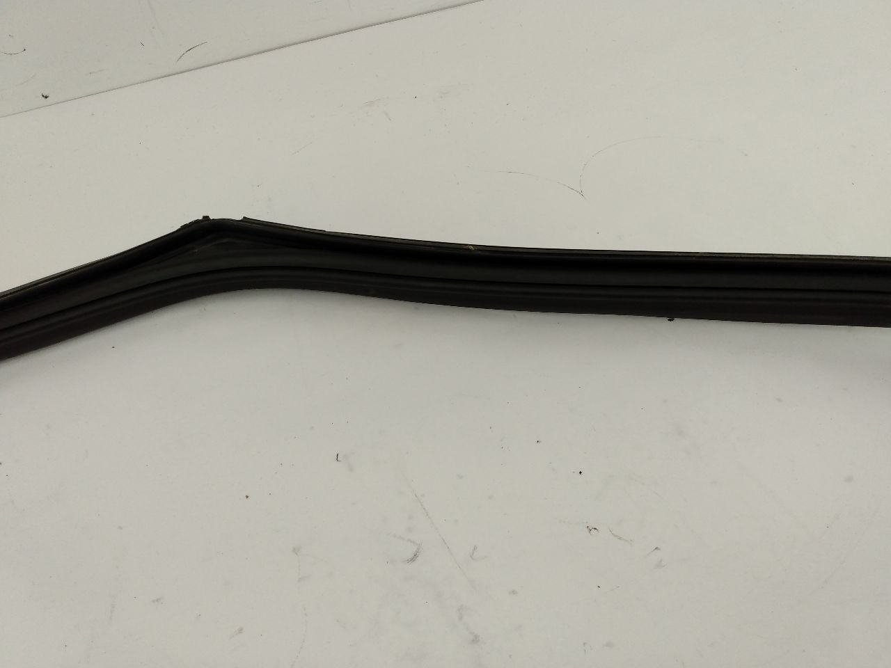 Mini Cooper S Front Right Door Seal