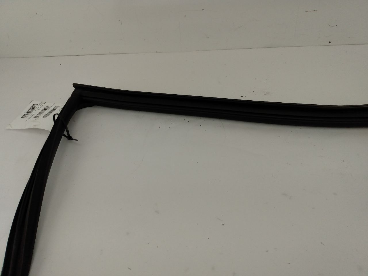 Mini Cooper S Front Right Door Seal