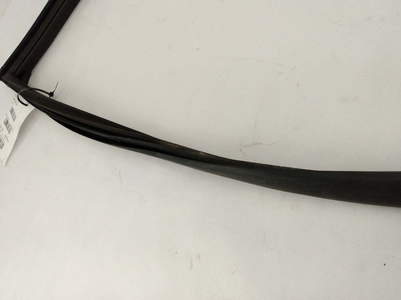 Mini Cooper S Front Right Door Seal