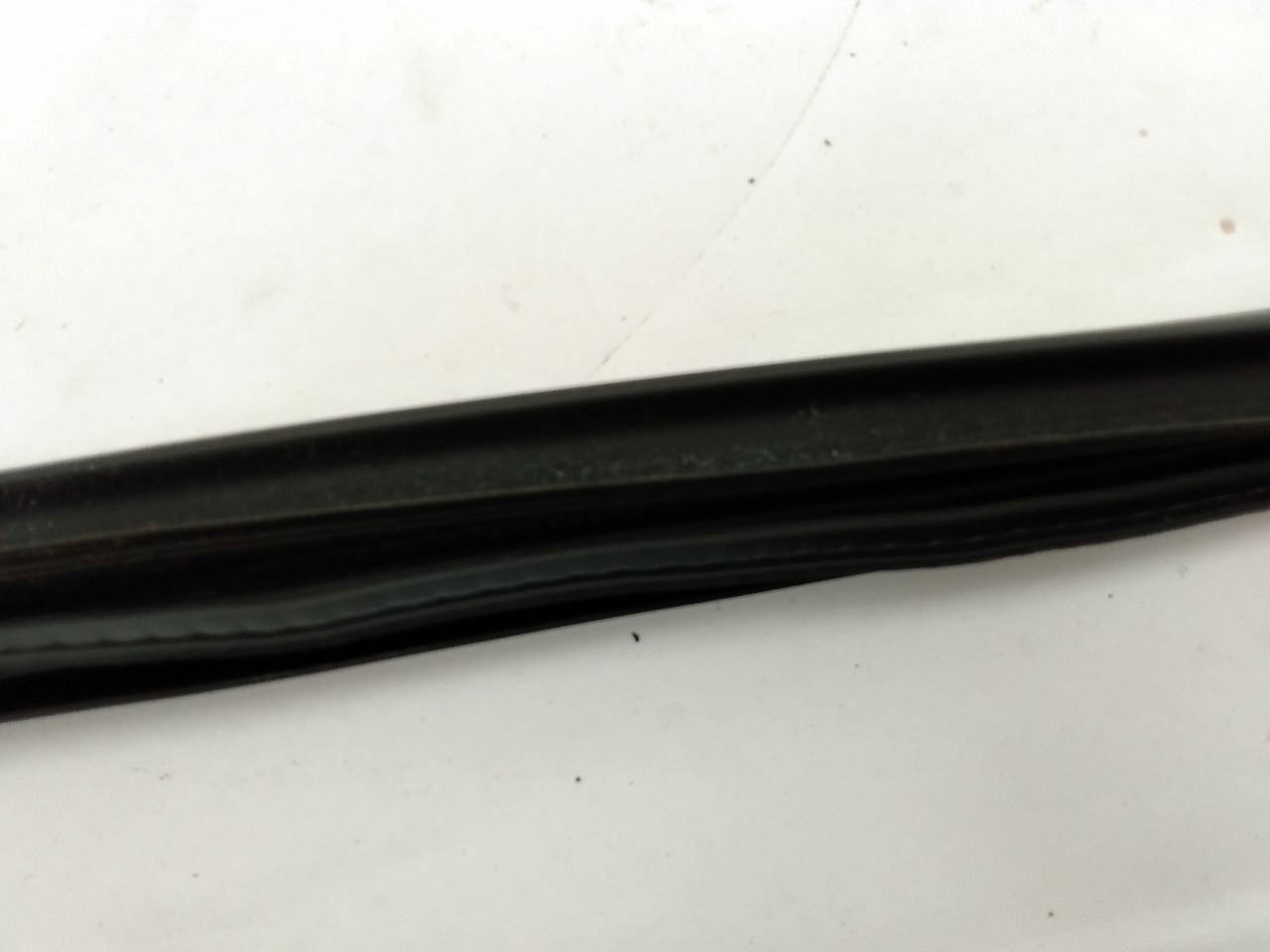 Mini Cooper S Front Right Door Seal