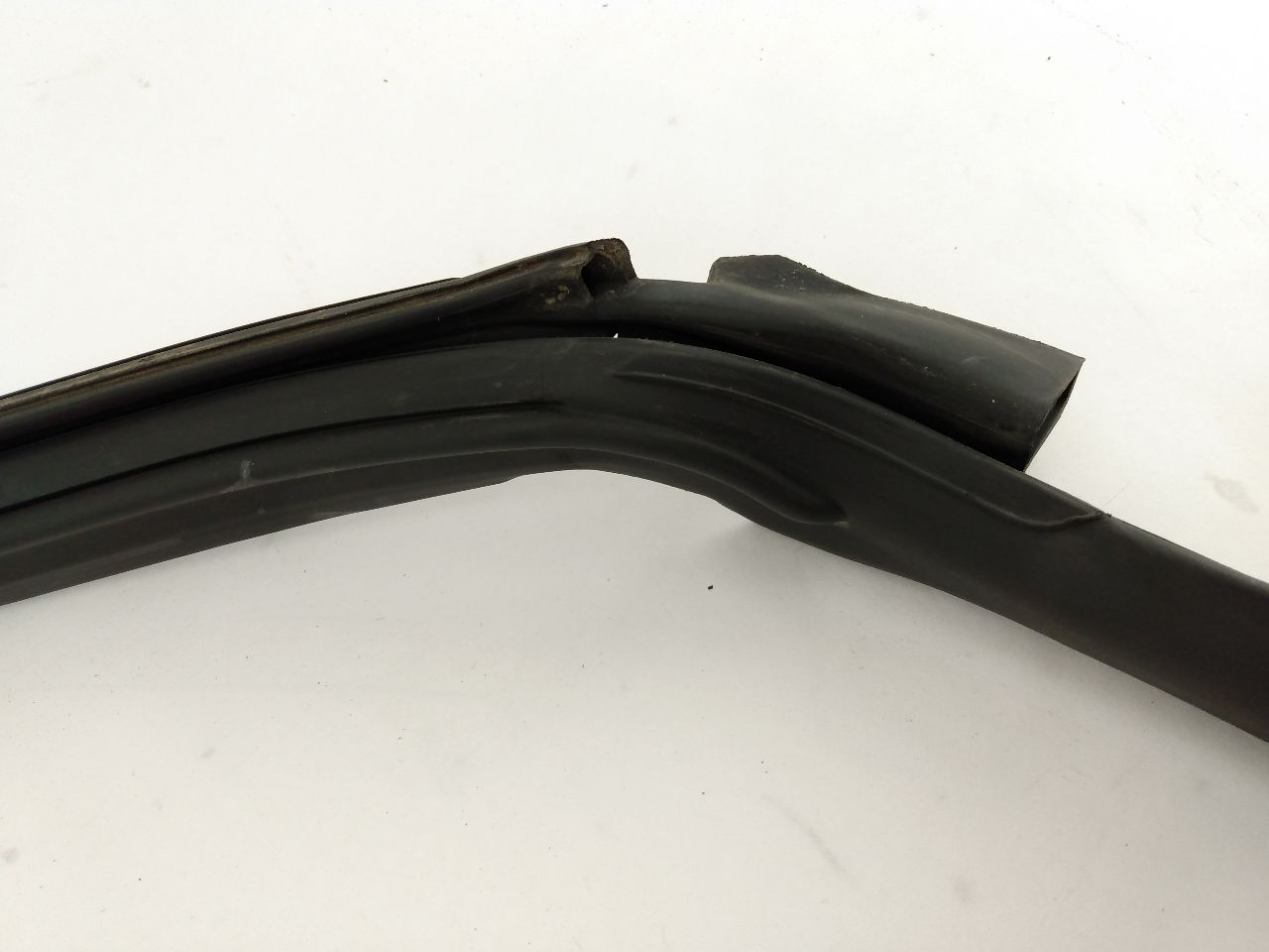 Mini Cooper S Front Right Door Seal