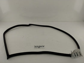 Mini Cooper S Front Left Door Seal