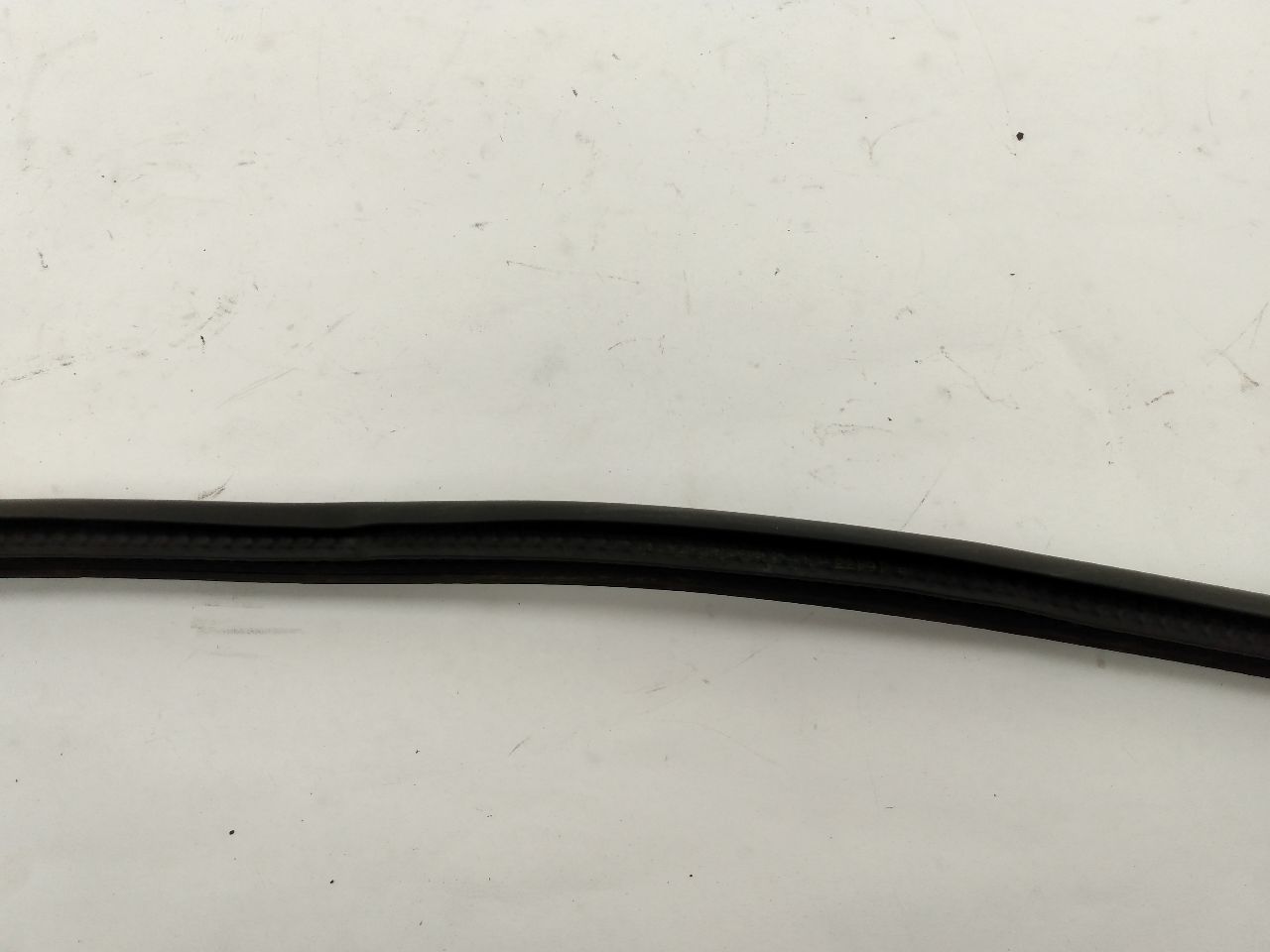 Mini Cooper S Front Left Door Seal