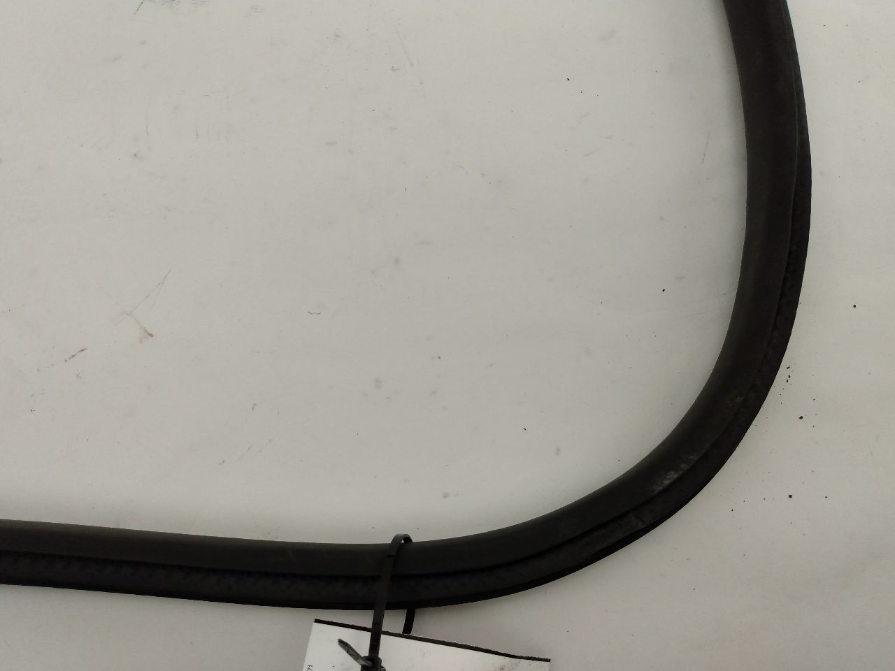 Mini Cooper S Front Left Door Seal