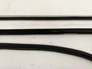 Mini Cooper S Front Right Door Window Sweeps & Seal-5