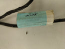 Jaguar XK8 Front Right Door Wiring Harness-10