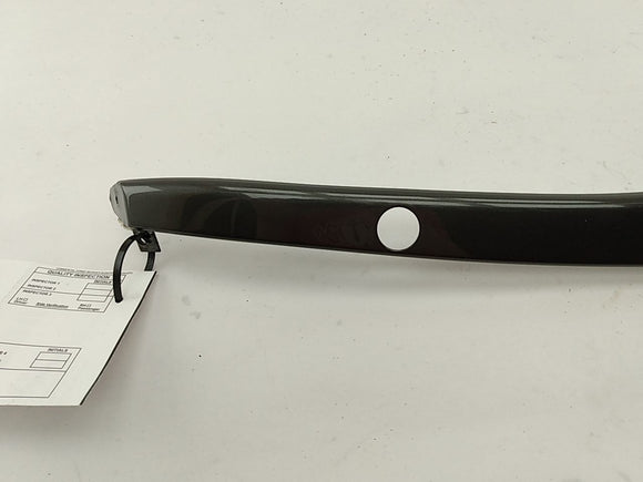 Jaguar XK8 Convertible Top Latch Cover