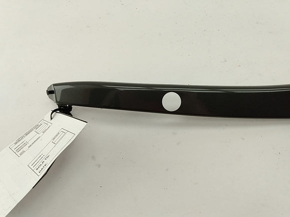 Jaguar XK8 Convertible Top Latch Cover