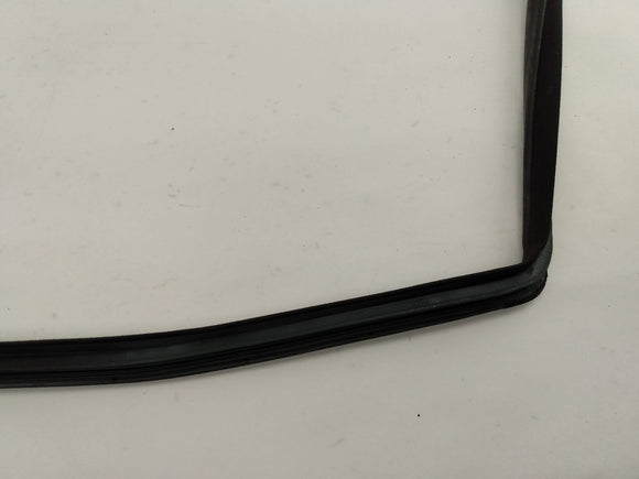 Scion TC Front Right Door Seal
