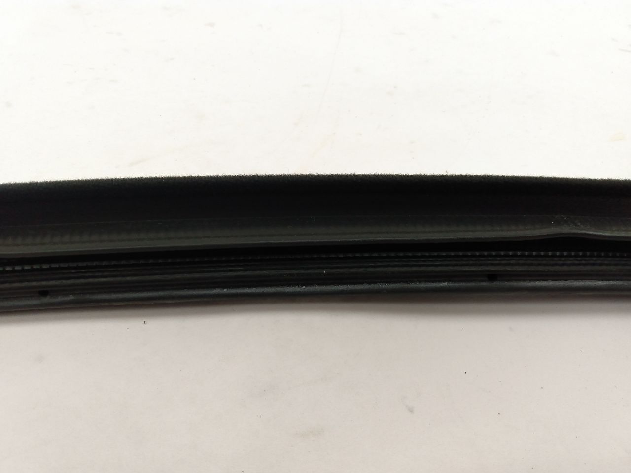 Scion TC Front Right Door Seal
