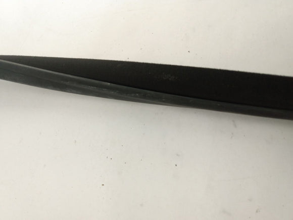 Scion TC Front Right Door Seal