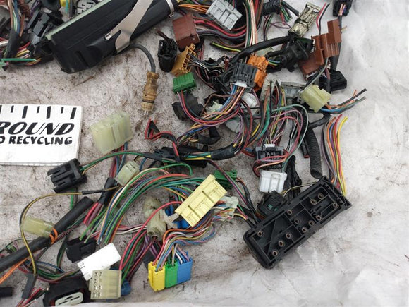 Land Rover Discovery Pigtail Set