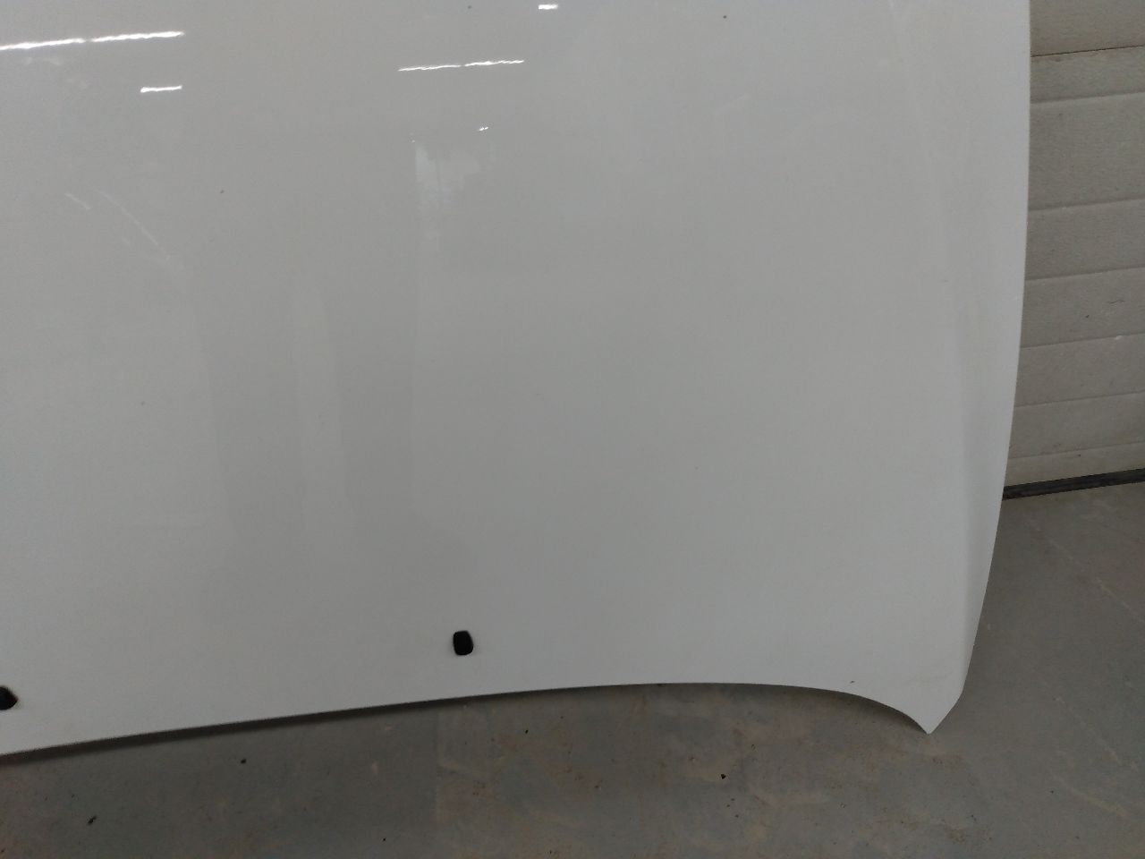 Scion TC Hood