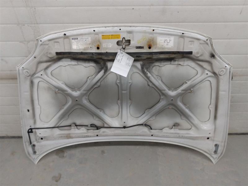 Scion TC Hood