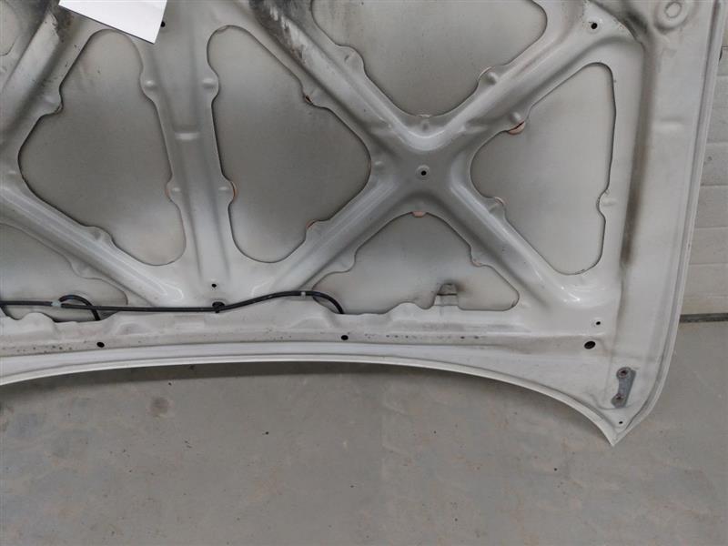 Scion TC Hood