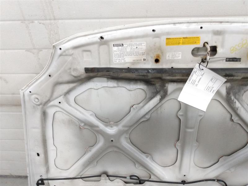 Scion TC Hood