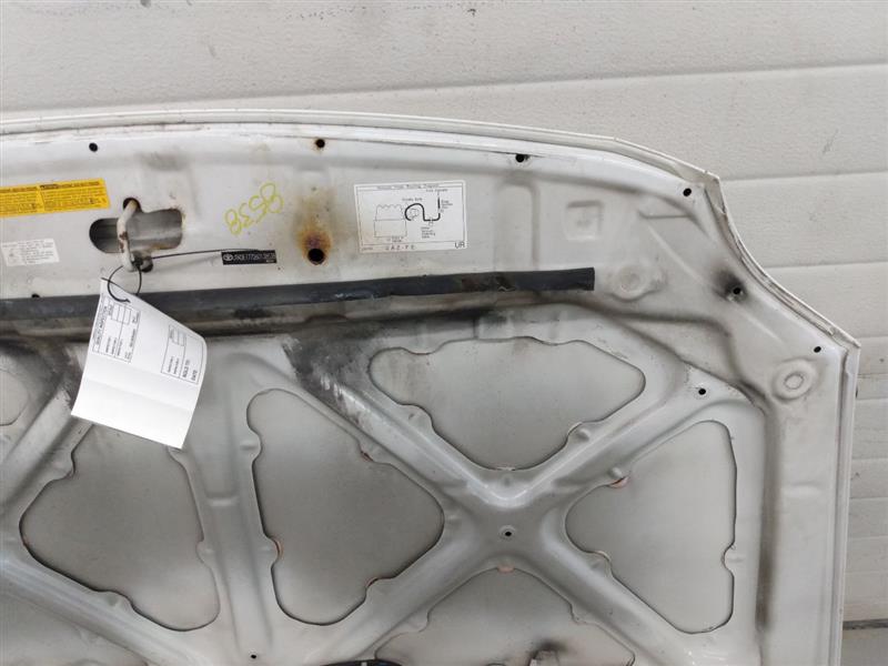 Scion TC Hood
