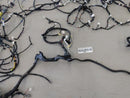 Scion TC Body Wire Harness-3