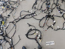 Scion TC Body Wire Harness-6