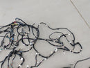 Scion TC Body Wire Harness-10