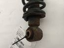 Scion TC Rear Left Strut-2