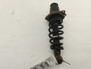 Scion TC Rear Left Strut-5
