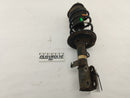 Scion TC Front Left Strut-1