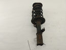 Scion TC Front Left Strut-5