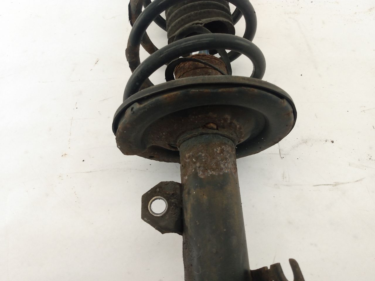 Scion TC Front Left Strut