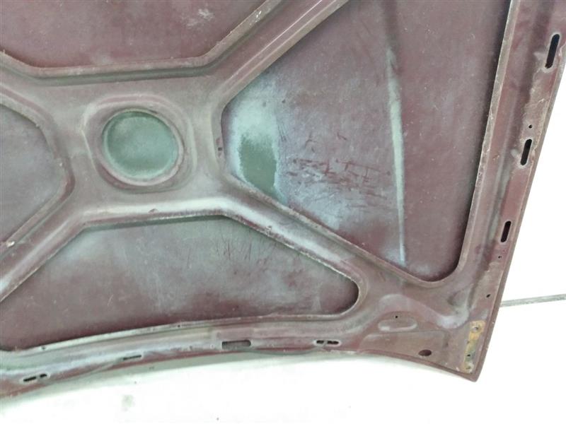 Volvo 245 Hood