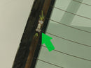 Honda Prelude Rear Glass-9