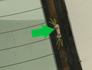 Honda Prelude Rear Glass-12