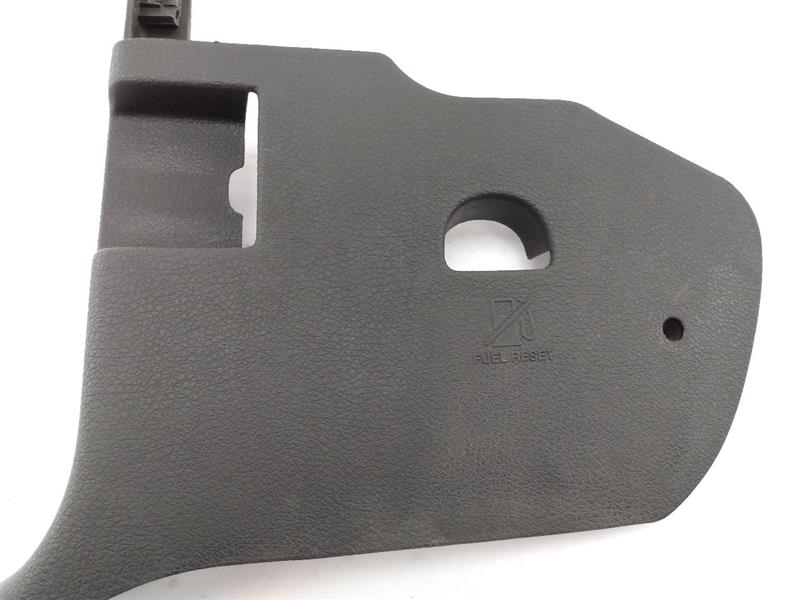 Ford Mustang Pair Of Kick Plate Trim Panels