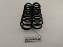Ford Mustang Rear Coil Spring Set-1