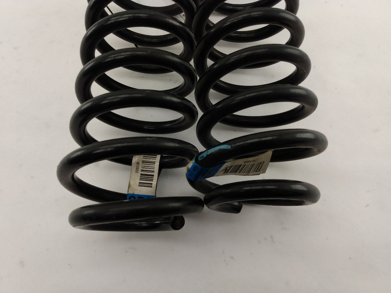 Ford Mustang Rear Coil Spring Set