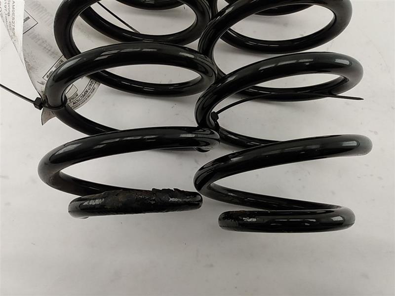 Ford Mustang Rear Coil Spring Set