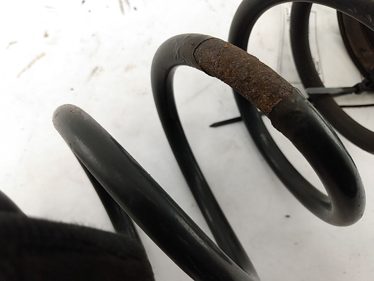 Volvo C30 Rear Left Suspension Coil Spring