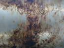 Volvo C30 Muffler-11
