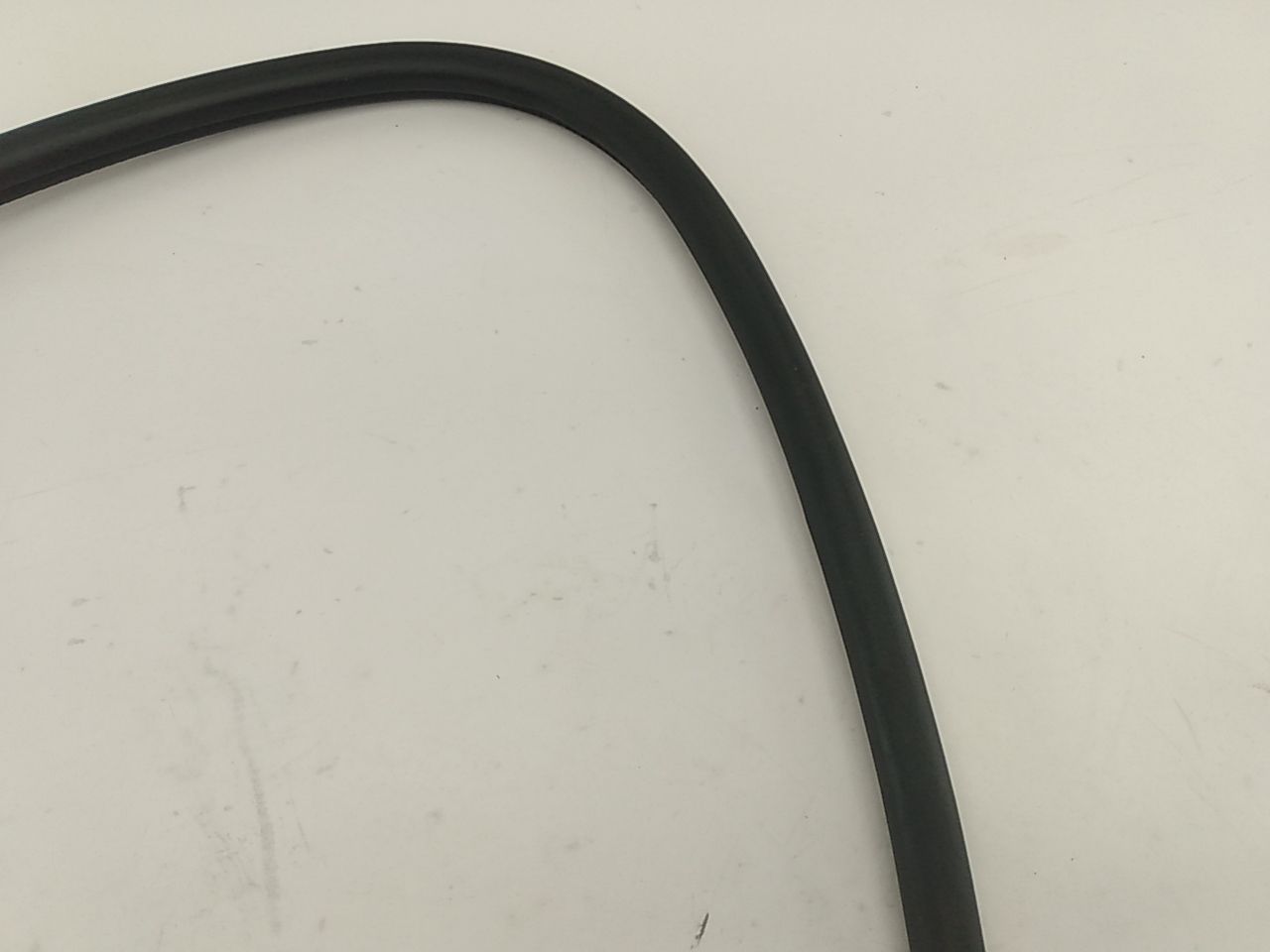 Ford Mustang Front Left Lower Door Seal