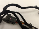 Alfa Romeo Giulia Rear Left Door Harness
00505459720-11