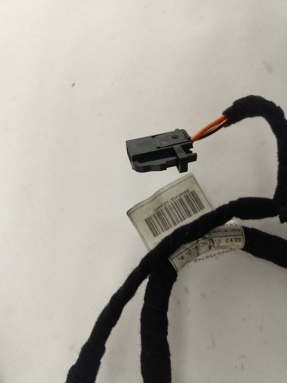 Alfa Romeo Giulia Rear Right Door Harness
00505459740