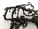 Alfa Romeo Giulia Set Of Engine Harnesses-9