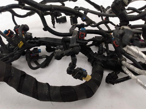 Alfa Romeo Giulia Set Of Engine Harnesses