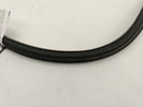 Pontiac Firebird Rear Decklid Seal-5